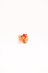 Leila Orchid Hair Clip - Orange