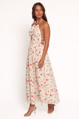 Wilder Halterneck Maxi Dress - Pink Floral