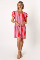 Amara Mini Dress - Pink Stripe