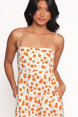 Leah Maxi Dress - Clementine Print