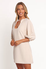 Sidney Mini Dress - Tan Stripe