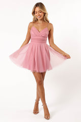 Kienna Tulle Mini Dress - Pink